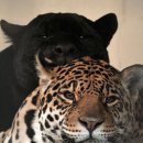 기타등등 이미지