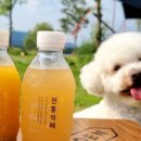 위닝푸드 이미지