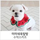 미미네강아지 이미지