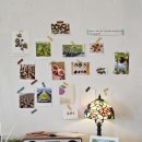 영대농장 이미지