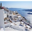 강아지오요요 이미지