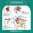 경주정형외과의원 이미지