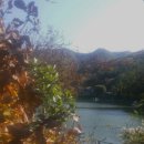 상천낚시터 이미지