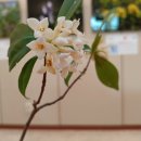 경상남도 수목원 이미지