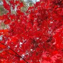 순환한의원 이미지