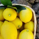 시일농장 이미지