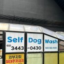 마이리틀프랜드 영일대점(셀프워시) | 애견셀프목욕 마이리틀프렌드 강남점 이용후기!