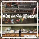 경동 | 스타벅스 경동 1960점 단독 후기