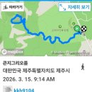 무수히 | 제주 조천읍 교래리 오름, 큰지그리오름과 곶자왈숲길 산책 후기