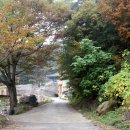 용암사입구 이미지