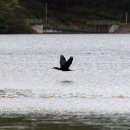 쓰리코 당구장 이미지