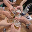 벌떼둥지 이미지