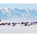 초원민박 이미지