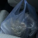 현준수산 | 주안역횟집 현준수산 모듬회 해산물 포장 후기