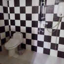 올레무인텔 이미지