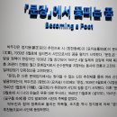 안성 남사당 공연장 이미지