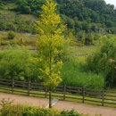 사림동169 이미지