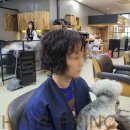 프린스미용실 - 영천시 | 단발 빈티지펌 안양미용실 후기