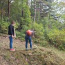 정선하늘터 이미지