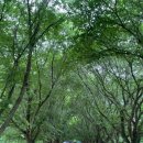 스테이 펜션 이미지