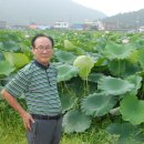 비사벌농장 Daum카페