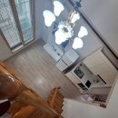 푸조와곰솔 | 흑진주몽돌해변 도보 1분! 거제 푸조와곰솔 애견동반 펜션 리얼 후기