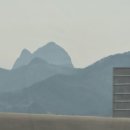 남천1-216 | 부산아입니까