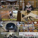 공룡민박 이미지