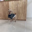 견생 이발소 이미지