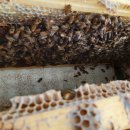 봉이농장 이미지