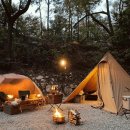 숲속에서 캠핑장 이미지