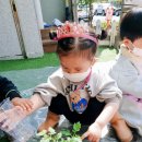 벚꽃분식 이미지