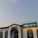 제주도공항근처맛집 시내 도야짬뽕외도점 면순이 인생 밥집
