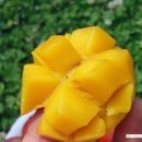 봉수농장 이미지