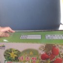 별리농장 이미지