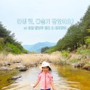 영월 웰컴투캠프 칠순 기념 캠핑! 계곡과 수영장이 있어 아이와 부모님 모두 만족한 후기🥳💛