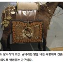 삼국아파트 | [5학년 나라의 등장과 발전] 삼국의 문화