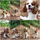 극동아파트(101동앞) 이미지