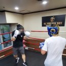 골든보이 복싱짐 이미지