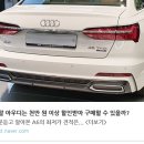 냥이댕이 이미지