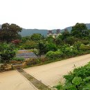 감나무골 식당 민박 이미지