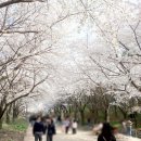 심바글로벌