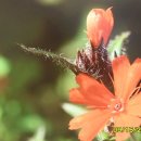 봉화산주차장 이미지