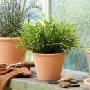 라운더리 이미지