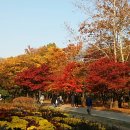 양재시민의숲 공원 테니스장 이미지