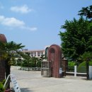 용산초등학교 이미지