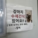 광주117 | 경기광주 탄벌동 여명오리농산 강아지수제간식 내돈내산 구매후기