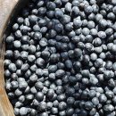 풍창농장 이미지