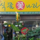 식물꽃나라 - 구로구 경인로47길 67 | 식물꽃나라