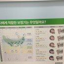 구로미소약국 | 금천구보청기 양심적인 오티콘보청기 금천센터 방문 후기